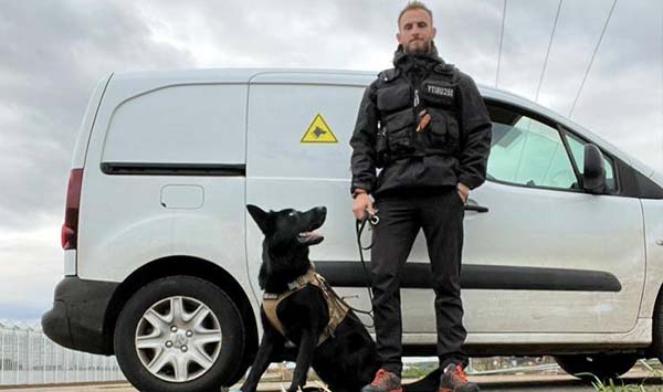 K9 Operations Services