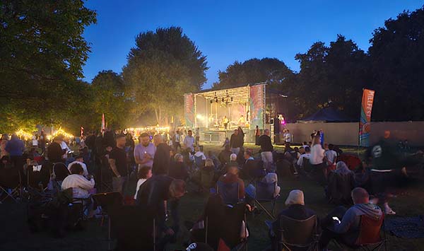Music Festival Security